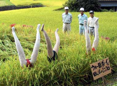 Japanese scarecrows that only show the legs.