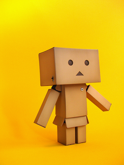 revoltech-danbo-figure-17.jpg